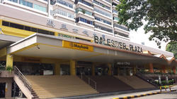 Balestier Plaza (D12), Apartment #154141062